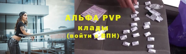 тгк Алзамай
