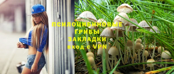 тгк Алзамай