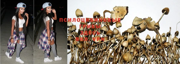 мескалин Алексин