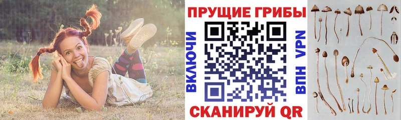 Псилоцибиновые грибы ЛСД  дарк нет Telegram  Краснозаводск 